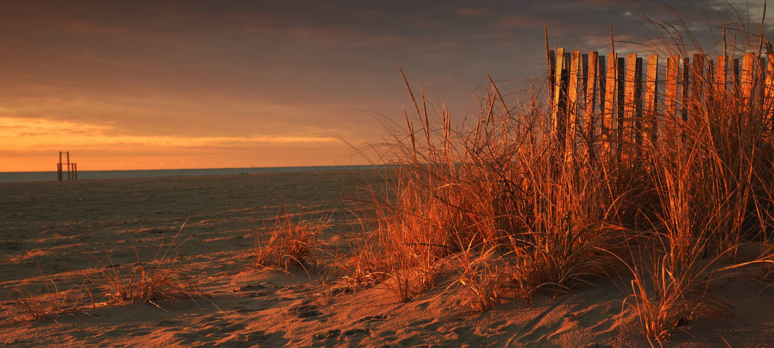 Sea grass at beach front during sunset, Bradley Beach, NJ