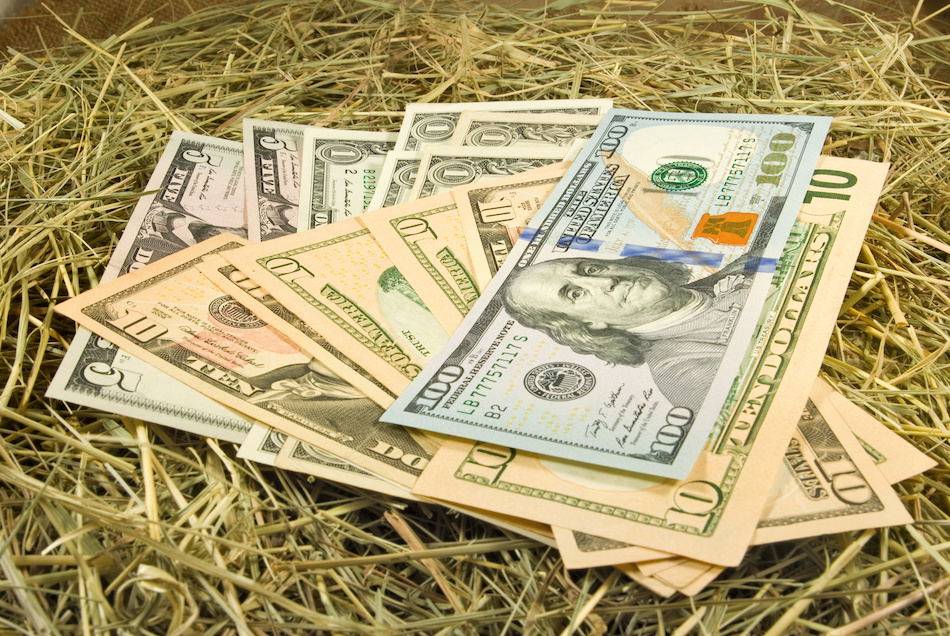 USDA Home Loan Program: Helping Buyers Afford Rural Homes